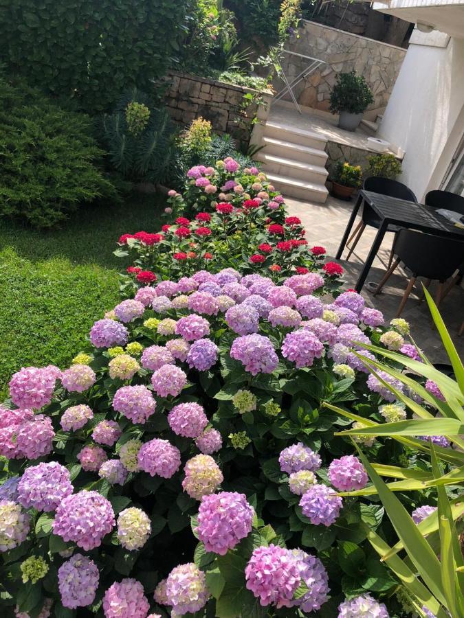 Appartamento Tianri Korčula Esterno foto