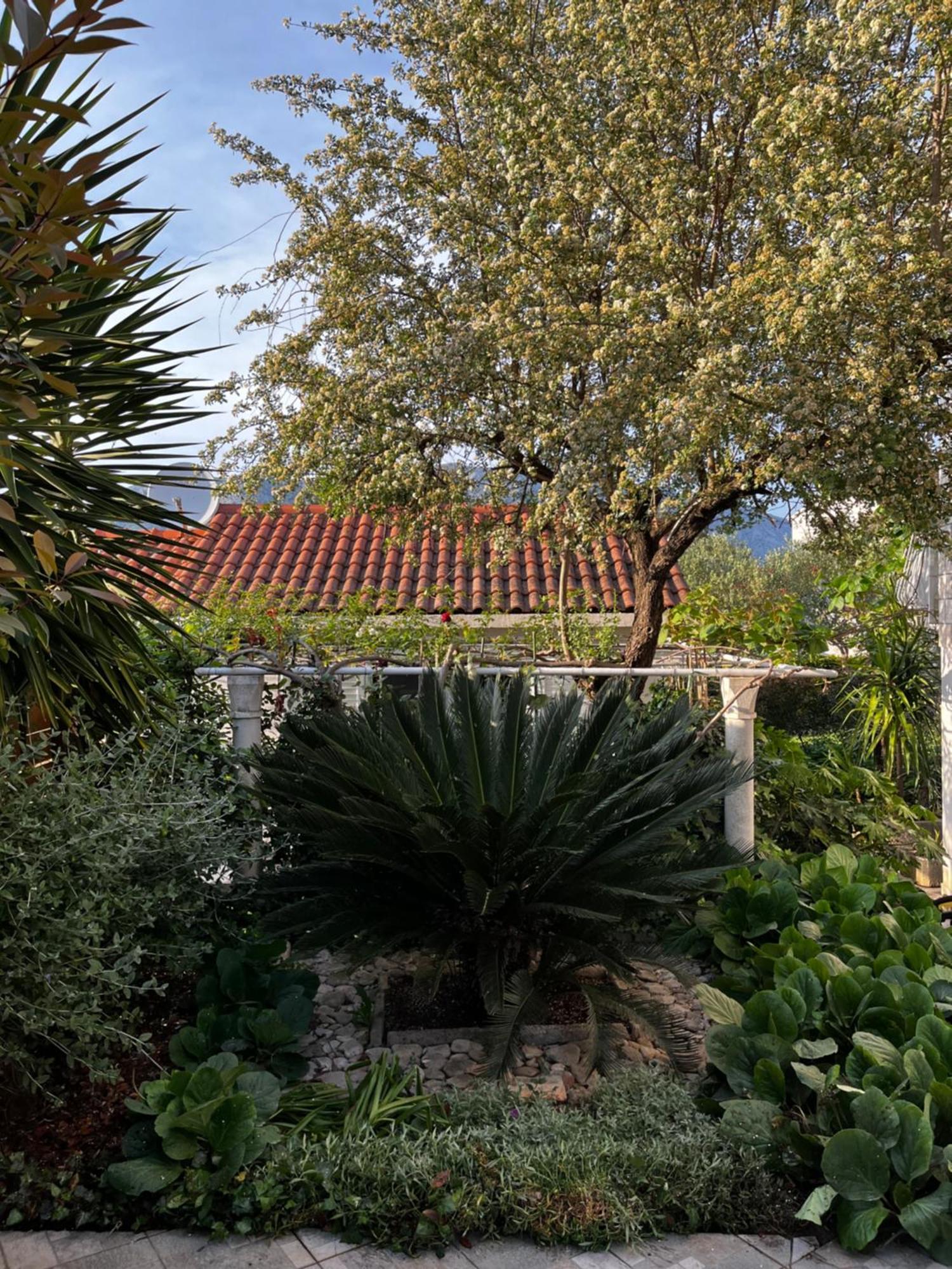 Appartamento Tianri Korčula Esterno foto