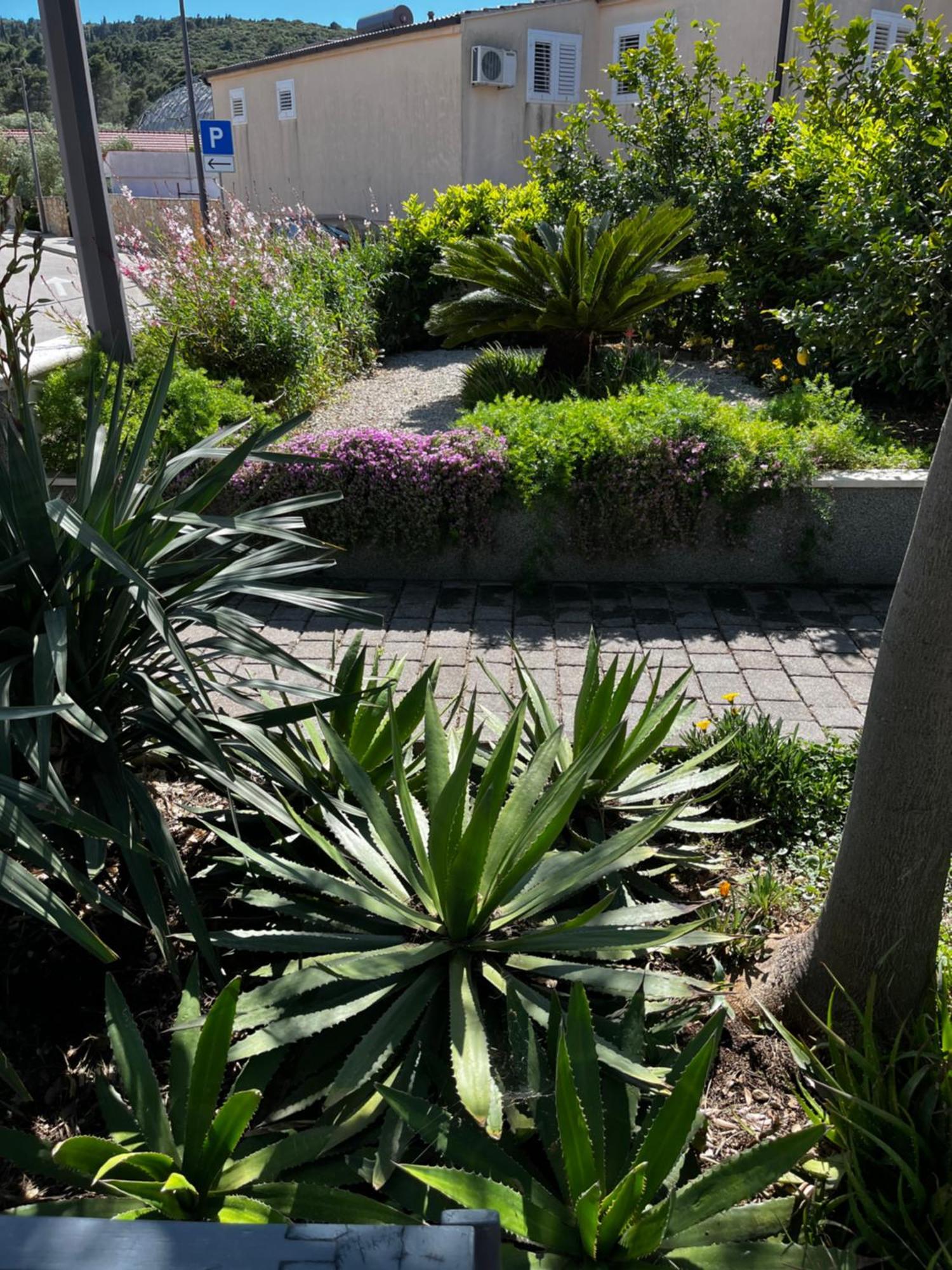 Appartamento Tianri Korčula Esterno foto
